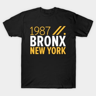 Bronx NY Birth Year Collection - Represent Your Roots 1987 in Style T-Shirt